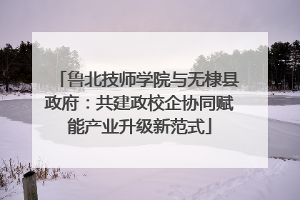 鲁北技师学院与无棣县政府：共建政校企协同赋能产业升级新范式