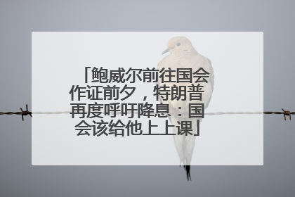 鲍威尔前往国会作证前夕，特朗普再度呼吁降息：国会该给他上上课