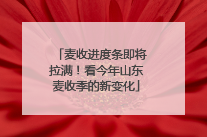 麦收进度条即将拉满！看今年山东麦收季的新变化