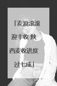 麦浪滚滚迎丰收 陕西麦收进度过七成