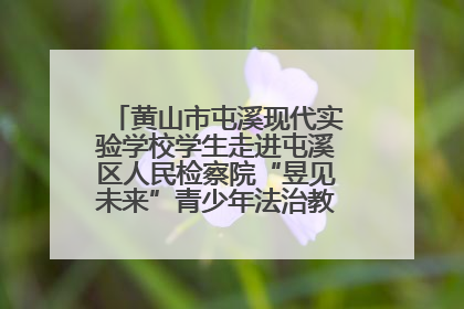 黄山市屯溪现代实验学校学生走进屯溪区人民检察院“昱见未来”青少年法治教育宣传基地