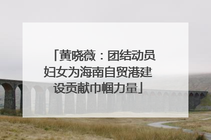 黄晓薇：团结动员妇女为海南自贸港建设贡献巾帼力量