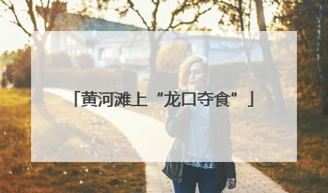 黄河滩上“龙口夺食”