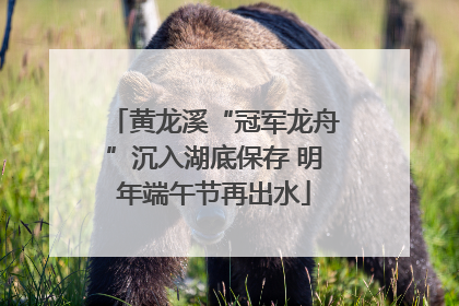 黄龙溪“冠军龙舟”沉入湖底保存 明年端午节再出水