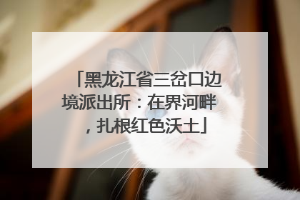 黑龙江省三岔口边境派出所：在界河畔，扎根红色沃土