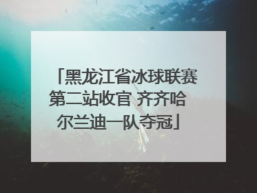 黑龙江省冰球联赛第二站收官 齐齐哈尔兰迪一队夺冠