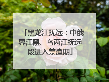 黑龙江抚远：中俄界江黑、乌两江抚远段进入禁渔期