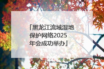 黑龙江流域湿地保护网络2025年会成功举办