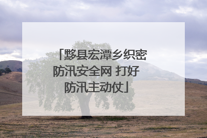黟县宏潭乡织密防汛安全网 打好防汛主动仗