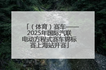 （体育）赛车——2025年国际汽联电动方程式赛车锦标赛上海站开赛