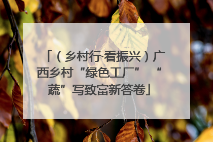 （乡村行·看振兴）广西乡村“绿色工厂” “蔬”写致富新答卷