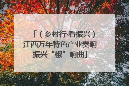 （乡村行·看振兴）江西万年特色产业奏响振兴“椒”响曲