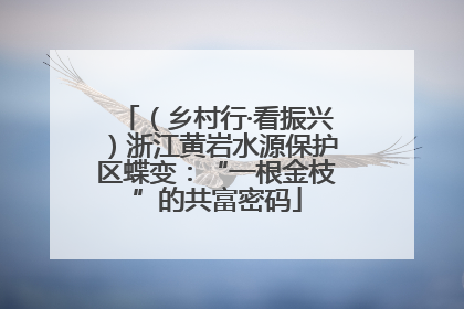 （乡村行·看振兴）浙江黄岩水源保护区蝶变：“一根金枝”的共富密码