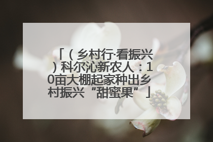 （乡村行·看振兴）科尔沁新农人：10亩大棚起家种出乡村振兴“甜蜜果”