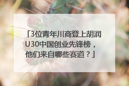 3位青年川商登上胡润U30中国创业先锋榜，他们来自哪些赛道？