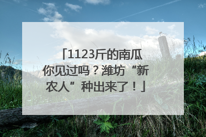 1123斤的南瓜你见过吗？潍坊“新农人”种出来了！