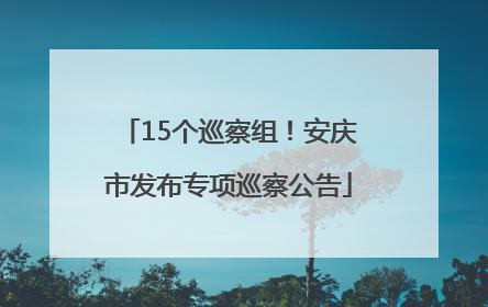 15个巡察组！安庆市发布专项巡察公告