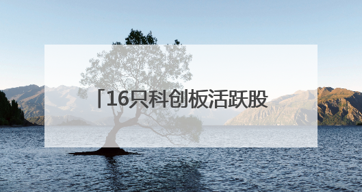 16只科创板活跃股获主力资金净流入