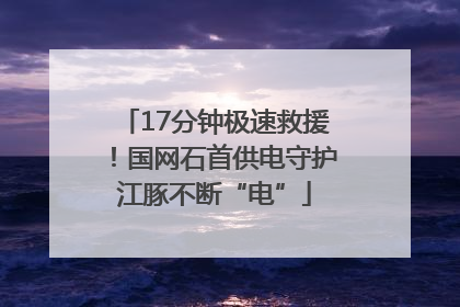 17分钟极速救援！国网石首供电守护江豚不断“电”