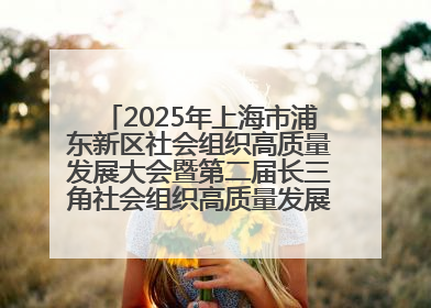 2025年上海市浦东新区社会组织高质量发展大会暨第二届长三角社会组织高质量发展峰会成功举办