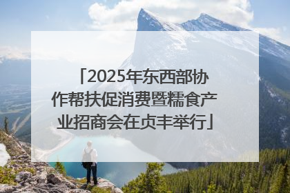 2025年东西部协作帮扶促消费暨糯食产业招商会在贞丰举行