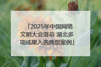 2025年中国网络文明大会落幕 湖北多项成果入选典型案例