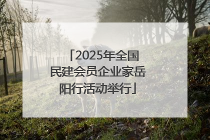2025年全国民建会员企业家岳阳行活动举行