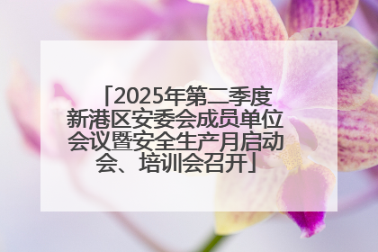 2025年第二季度新港区安委会成员单位会议暨安全生产月启动会、培训会召开