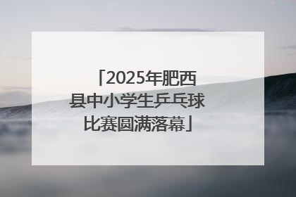 2025年肥西县中小学生乒乓球比赛圆满落幕