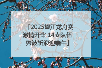 2025望江龙舟赛激情开桨 14支队伍劈波斩浪迎端午