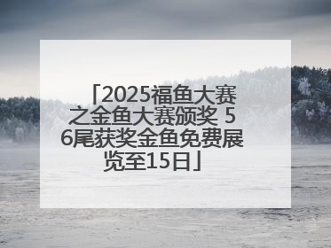 2025福鱼大赛之金鱼大赛颁奖 56尾获奖金鱼免费展览至15日