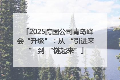 2025跨国公司青岛峰会“升级”：从 “引进来” 到 “链起来”