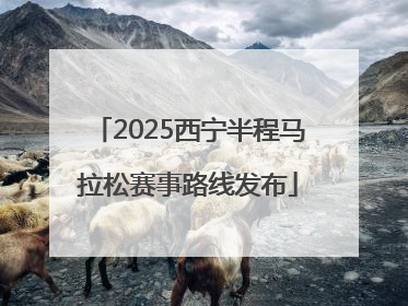 2025西宁半程马拉松赛事路线发布