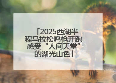 2025西湖半程马拉松鸣枪开跑感受“人间天堂”的湖光山色