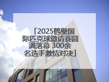 2025鹤壁国际匹克球邀请赛圆满落幕 300余名选手激情对决
