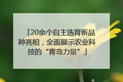 20余个自主选育新品种亮相，全面展示农业科技的“青岛力量”