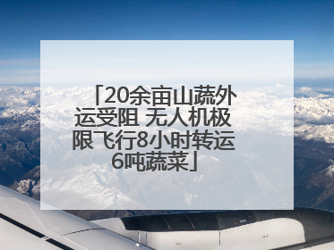 20余亩山蔬外运受阻 无人机极限飞行8小时转运6吨蔬菜