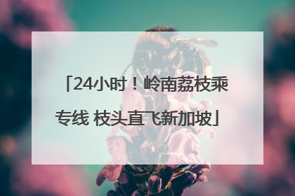24小时！岭南荔枝乘专线 枝头直飞新加坡