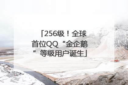 256级！全球首位QQ“金企鹅”等级用户诞生
