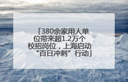 380余家用人单位带来超1.2万个校招岗位，上海启动“百日冲刺”行动