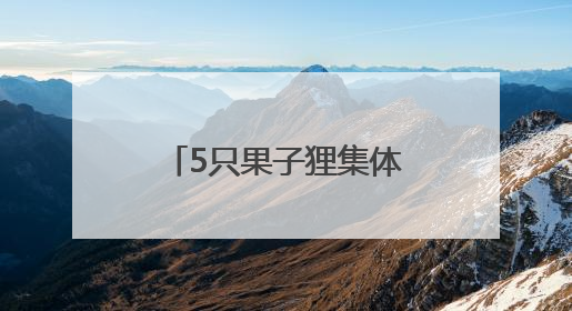 5只果子狸集体亮相湖南南山国家公园候选区