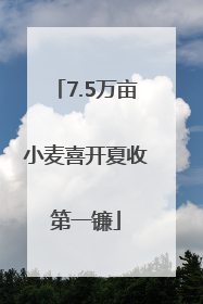 7.5万亩小麦喜开夏收第一镰