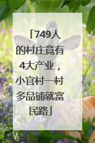 749人的村庄竟有4大产业，小官村一村多品铺就富民路