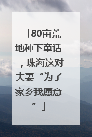 80亩荒地种下童话，珠海这对夫妻“为了家乡我愿意”