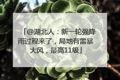 @湖北人：新一轮强降雨过程来了，局地有雷暴大风，最高11级