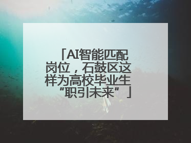 AI智能匹配岗位，石鼓区这样为高校毕业生“职引未来”