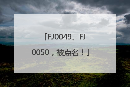 FJ0049、FJ0050，被点名！
