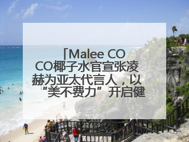 Malee COCO椰子水官宣张凌赫为亚太代言人，以“美不费力”开启健康生活好状态