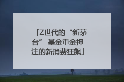 Z世代的“新茅台” 基金重金押注的新消费狂飙